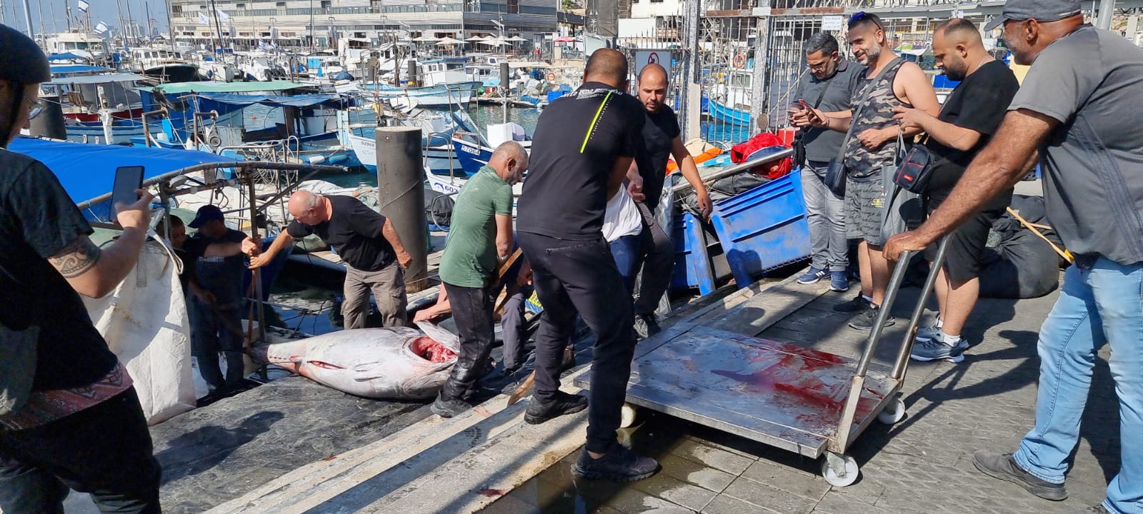 WhatsApp Image 2022-05-25 at 4.38.57 PM.jpeg